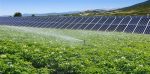 SB925-sbsolar.com_.tr-30-hp-beygir-22-kw-solar-gunes-paneli-tarimsal-sulama-paketi-63bac453ab7dc8.61307183.jpg