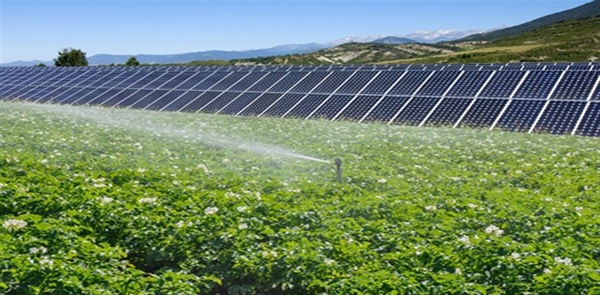 SB925-sbsolar.com_.tr-30-hp-beygir-22-kw-solar-gunes-paneli-tarimsal-sulama-paketi-642198f6de9f22.89870220.jpg